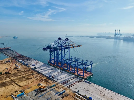 Container cranes at CWIT, Colombo's new port terminal.